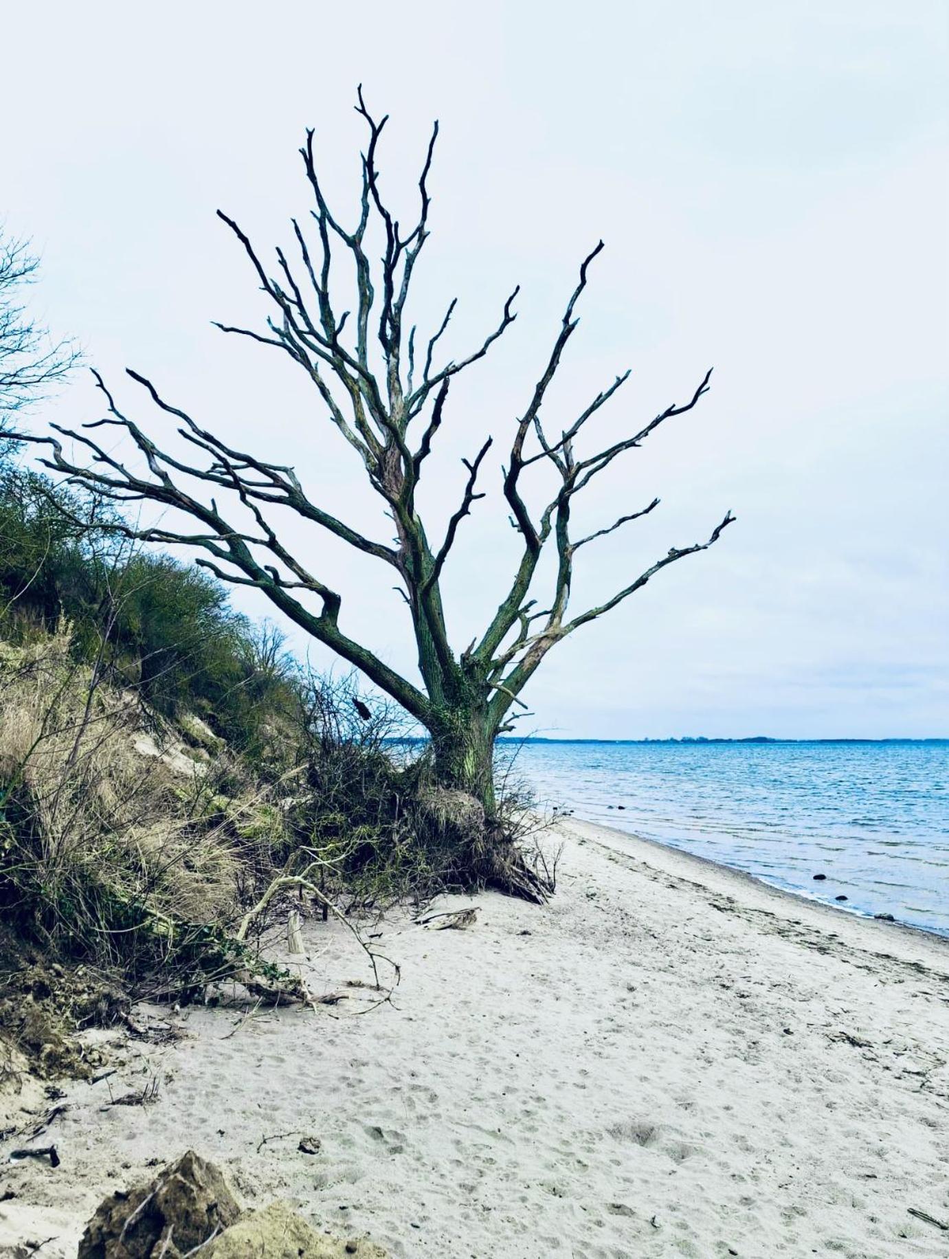 Ferienhaus Am Strand Loissin Esterno foto